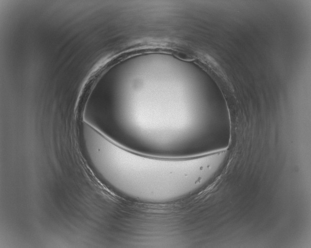 X0000056011172200508190846