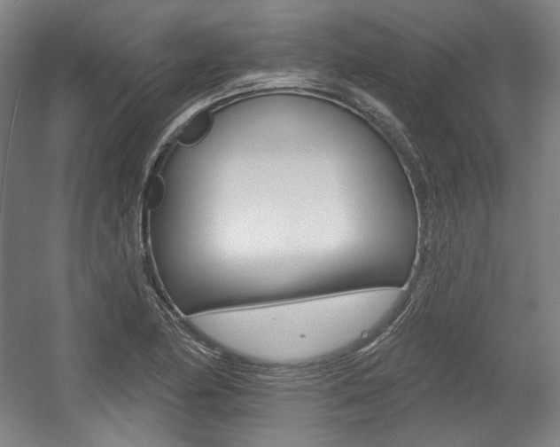 X0000056011174200508190846