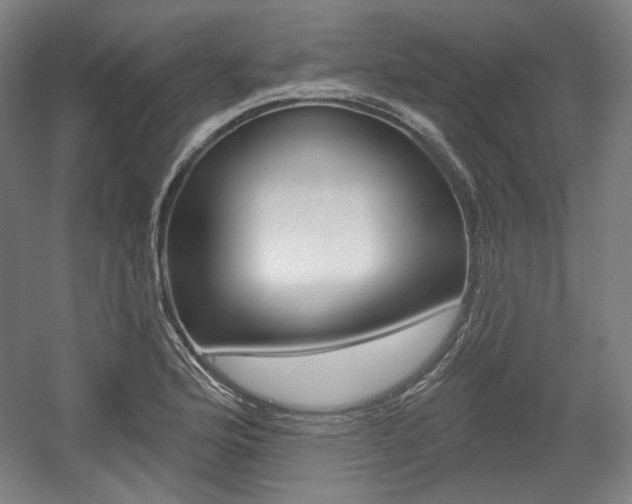 X0000056011176200508190846