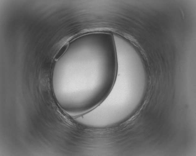 X0000056011177200508190846