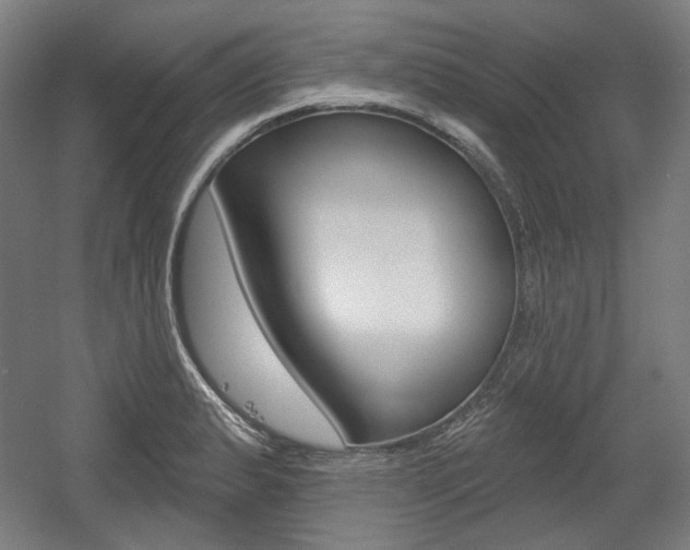 X0000056011183200508190846