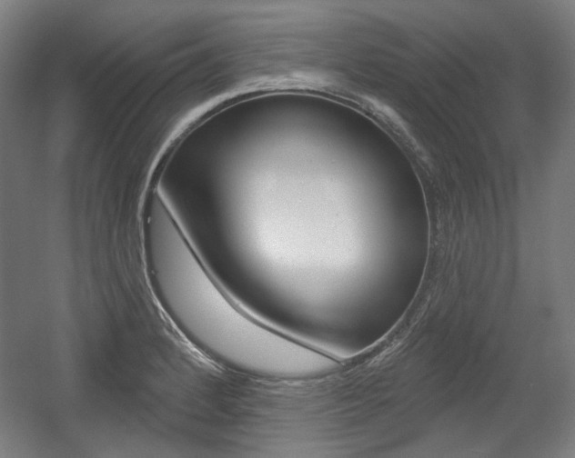 X0000056011184200508190846