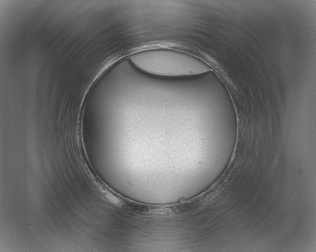 X0000056011186200508190846