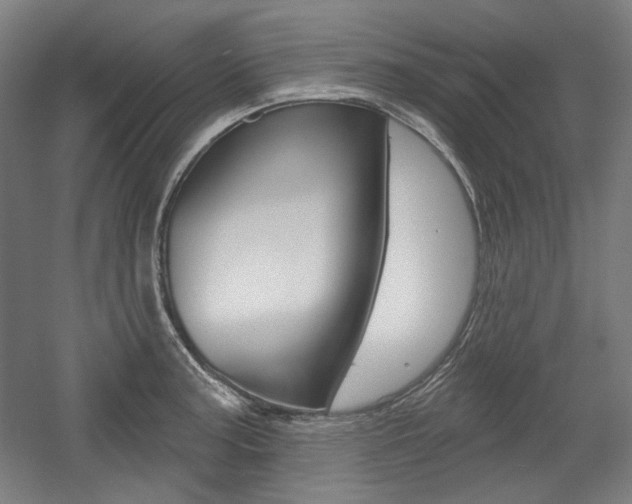 X0000056011187200508190846