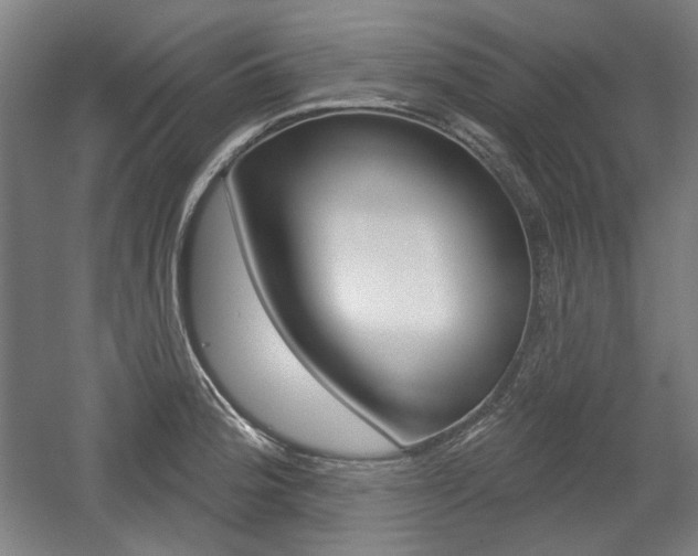 X0000056011188200508190846