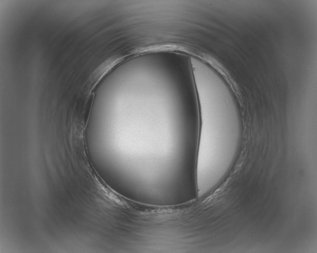 X0000056011193200508190846