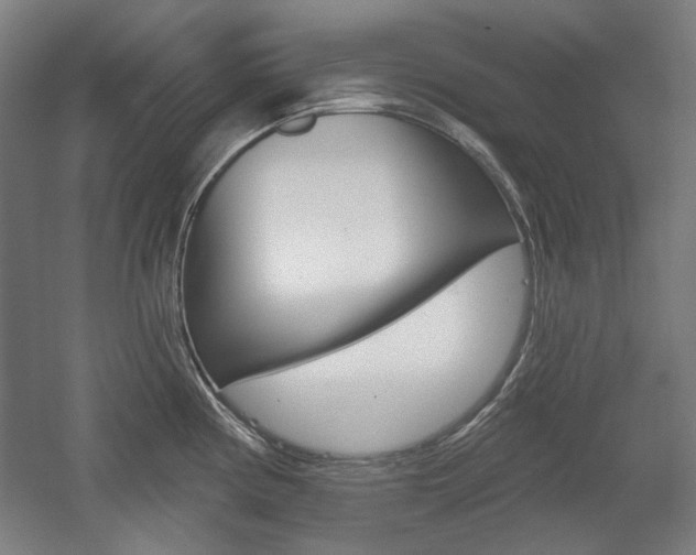 X0000056011194200508190846