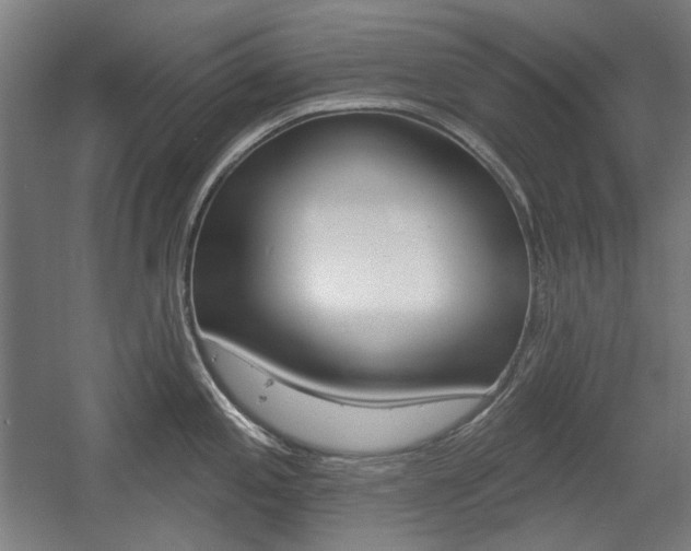 X0000056011197200508190846