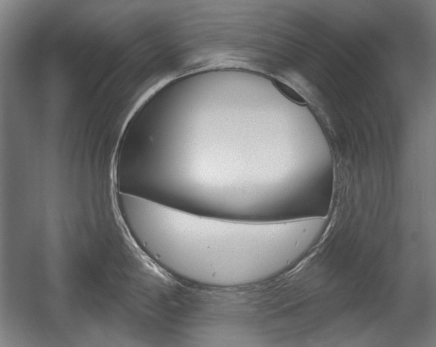 X0000056011198200508190846
