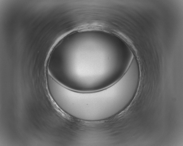 X0000056011200200508190846