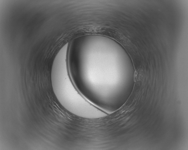 X0000056011202200508190845
