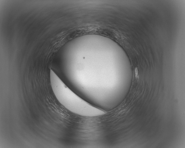 X0000056011203200508190845