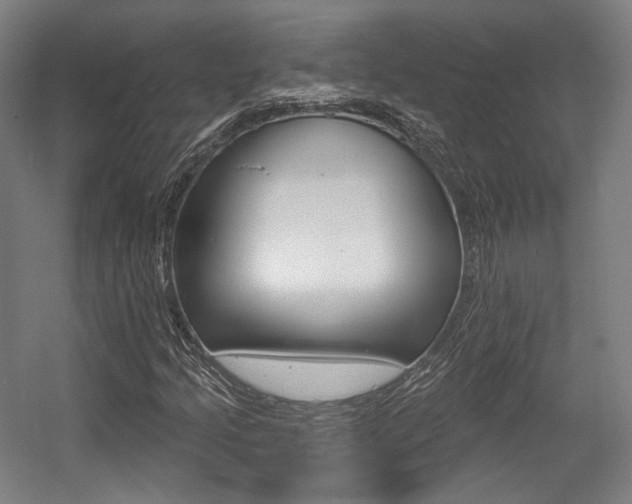 X0000056011205200508190845