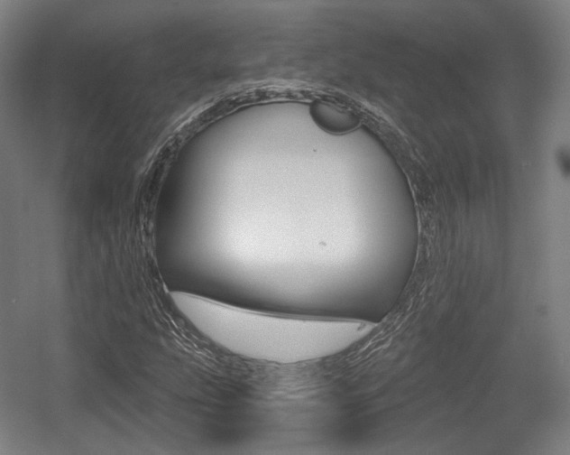 X0000056011207200508190845