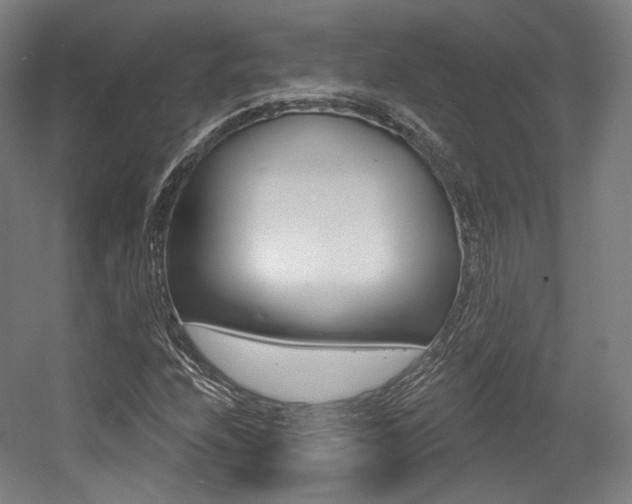 X0000056011208200508190845