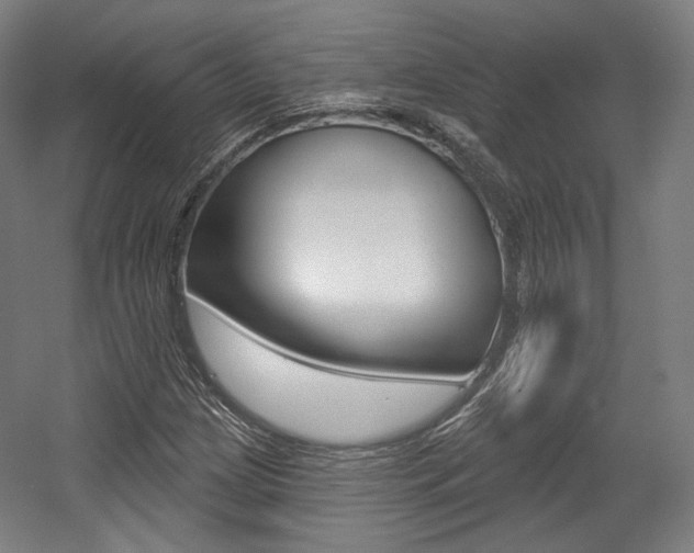 X0000056011209200508190845