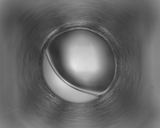 X0000056011210200508190845