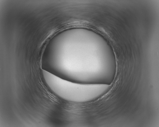 X0000056011211200508190845
