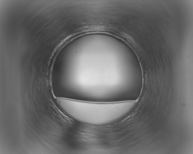 X0000056011212200508190845