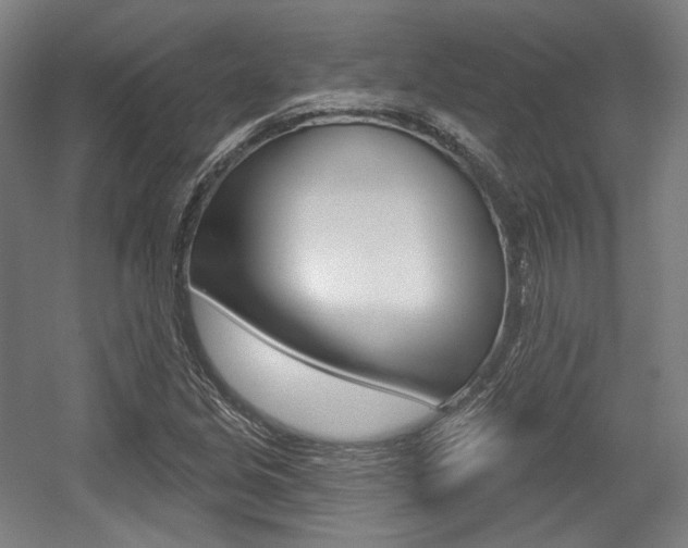 X0000056011213200508190845