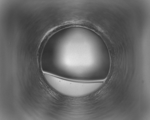X0000056011214200508190845