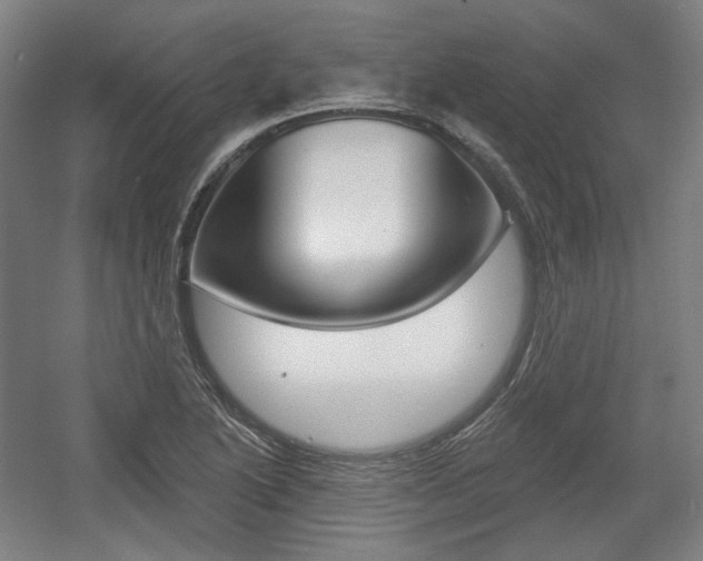 X0000056011222200508190845