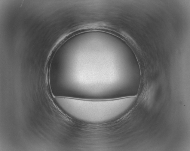 X0000056011224200508190845