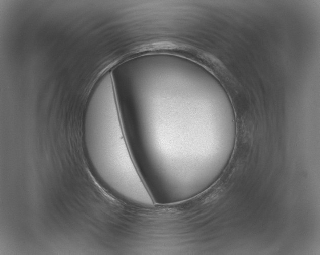 X0000056011225200508190845