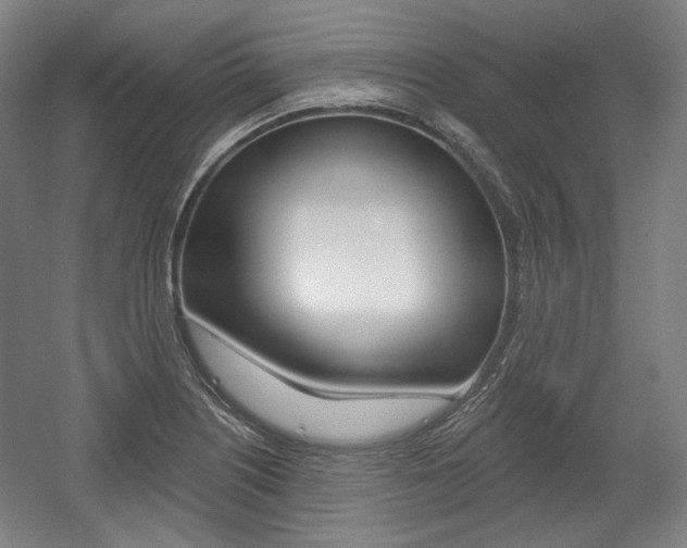 X0000056011226200508190845