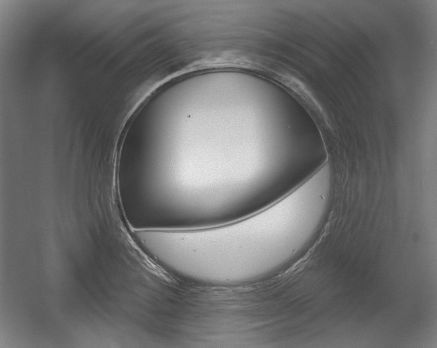 X0000056011228200508190845