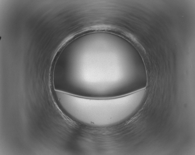 X0000056011229200508190845