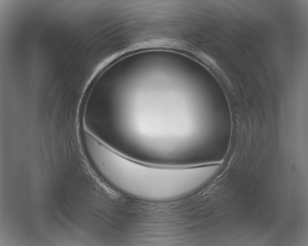 X0000056011230200508190845
