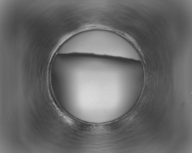 X0000056011231200508190845