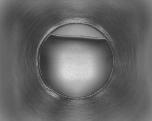 X0000056011232200508190845