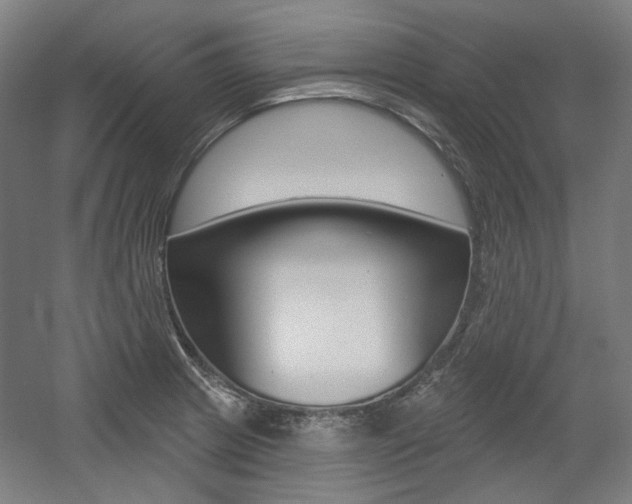 X0000056011233200508190845