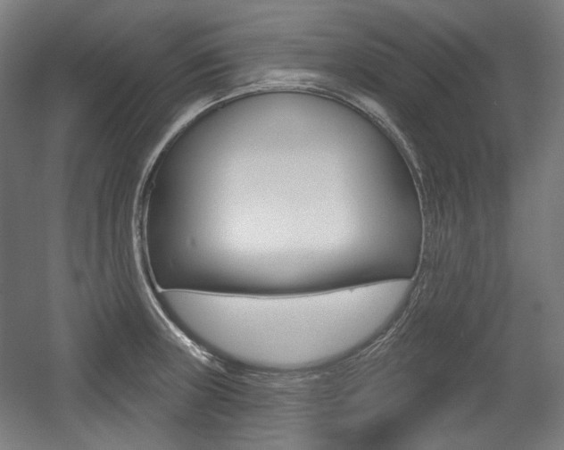 X0000056011235200508190845