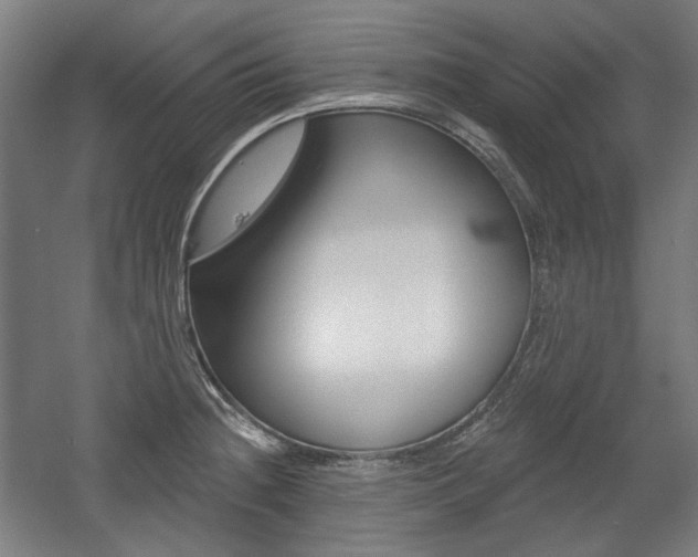 X0000056011236200508190845