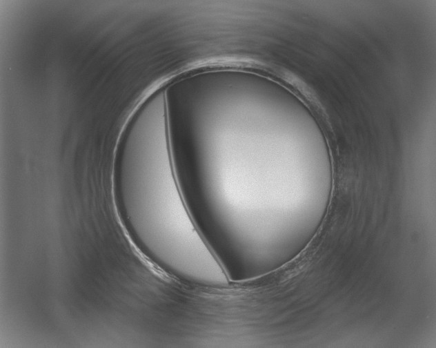 X0000056011237200508190846