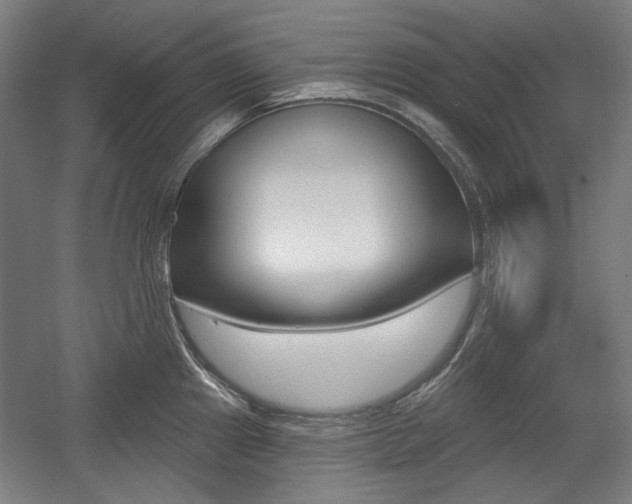 X0000056011241200508190846