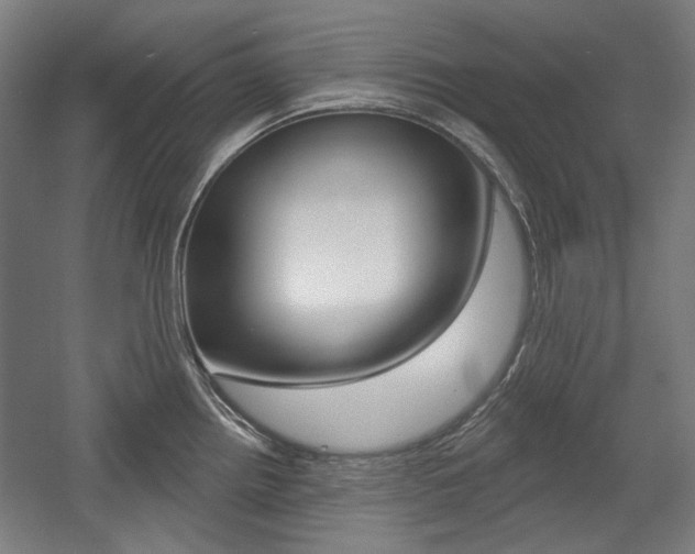 X0000056011242200508190846
