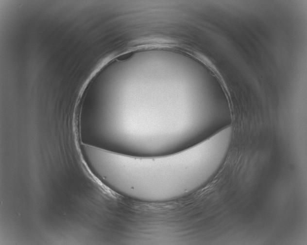 X0000056011243200508190846
