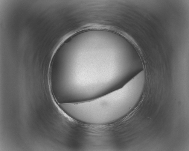 X0000056011247200508190846