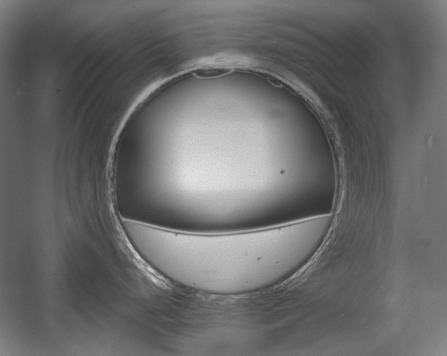 X0000056011248200508190846