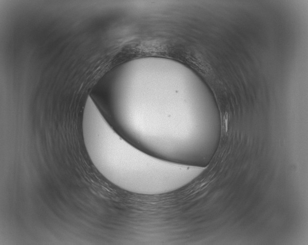 X0000056011251200508190845