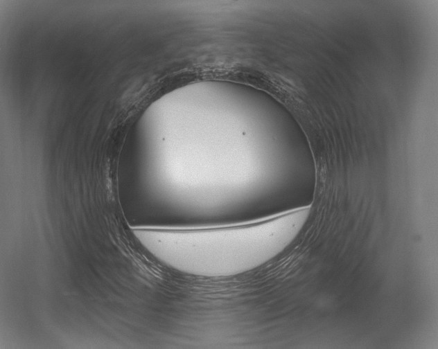 X0000056011252200508190845