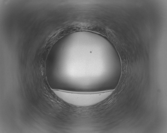 X0000056011253200508190845