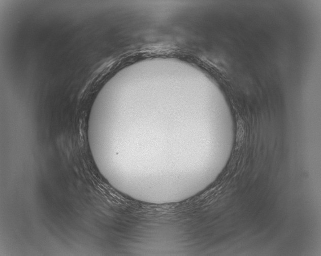X0000056011254200508190845