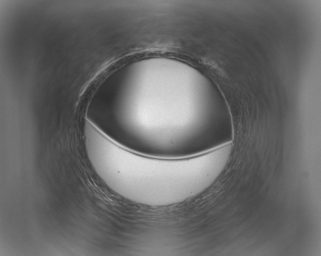 X0000056011256200508190845