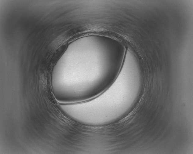 X0000056011257200508190845