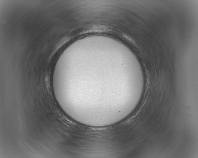 X0000056011258200508190845